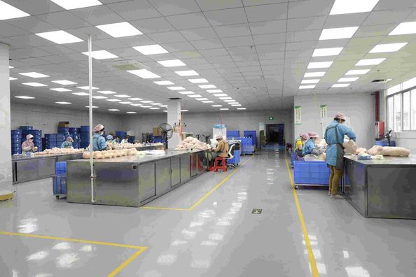 Guangdong Xise Industrial Co.,Ltd.Factory Production Line