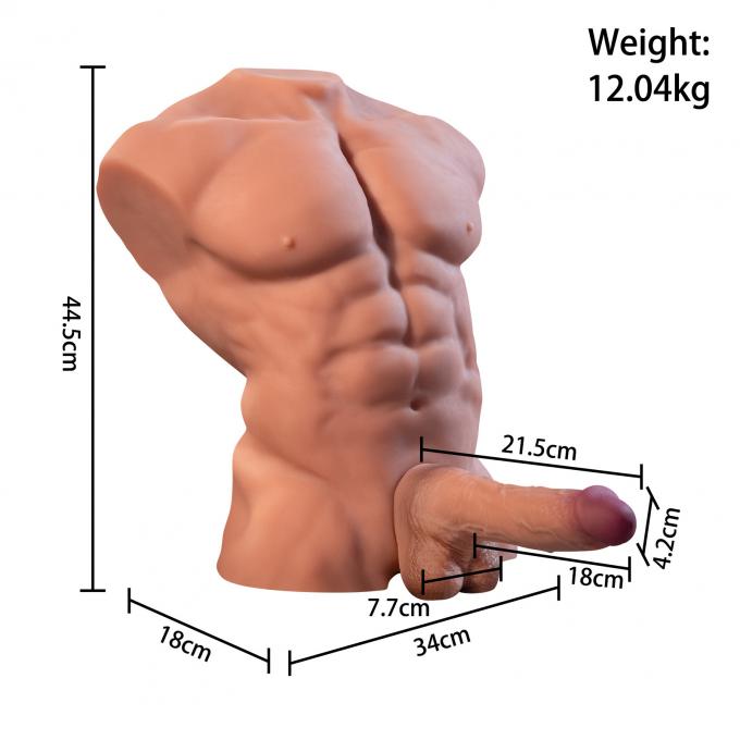 Fitter Male Torso app control interface