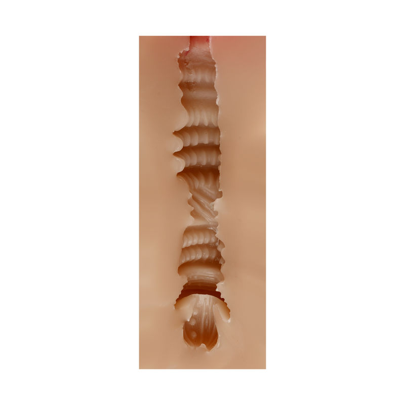 Water Resistance Pussy Masturbator Realistic Vagina Stroker For Men'S Pleasure