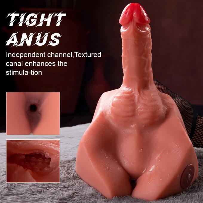 Realistic TPR sex torso dimensions